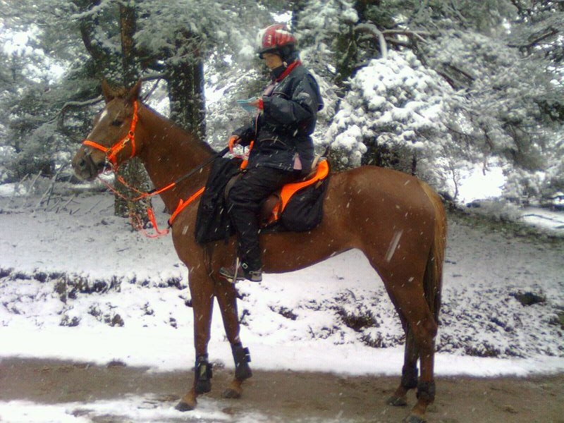 Buena actuaci&oacute;n Navarra en el Trec** El Espinar